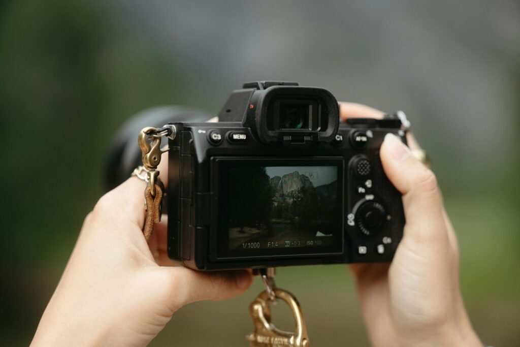 Photography by Photographers at Pembroke Lodge