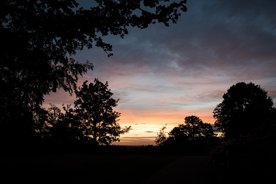 Trees silhouetted against a dusk sky.