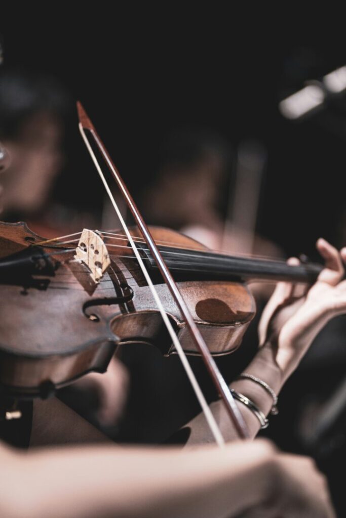 Photography by Liquid Strings at Pembroke Lodge